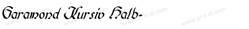 Garamond Kursiv Halb字体转换